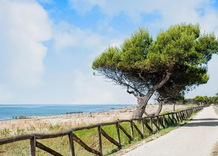 Lägenhet Flat With Terrace In 50m From The Sea