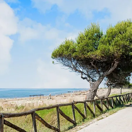Apartment Flat With Terrace In 50m From The Sea
