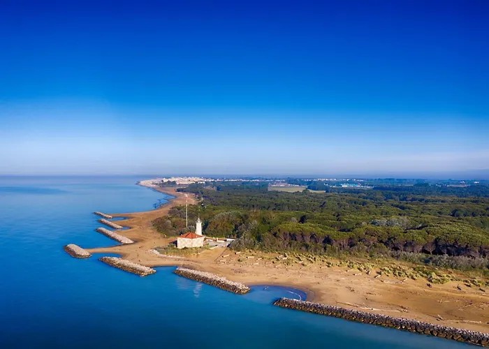 Appartement Flat With Terrace In 50m From The Sea *