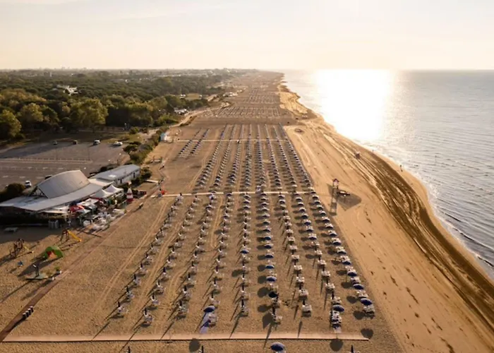 Appartement Flat With Terrace In 50m From The Sea